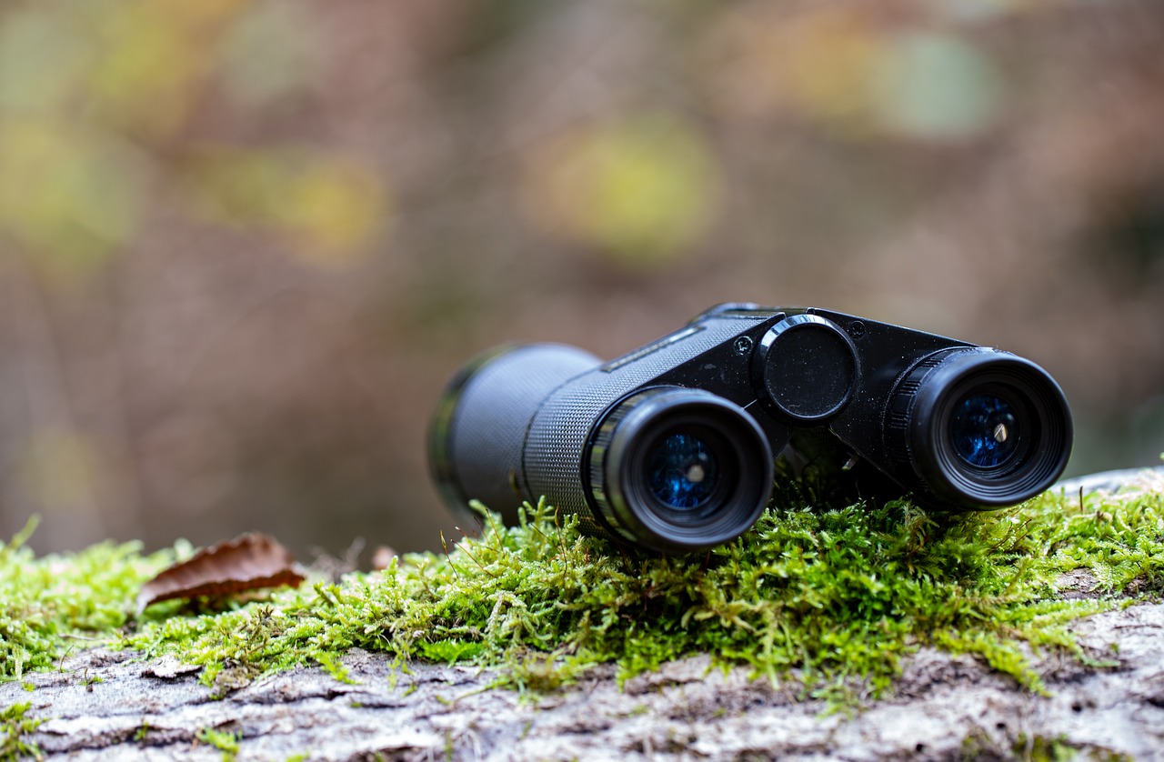Homemade Binocular Crafts: An Adventure for Kids